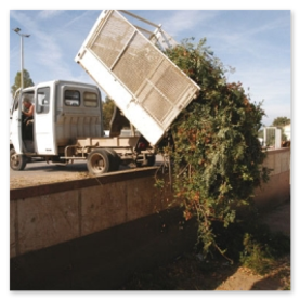 Élagage Abattage Angoulême Charente